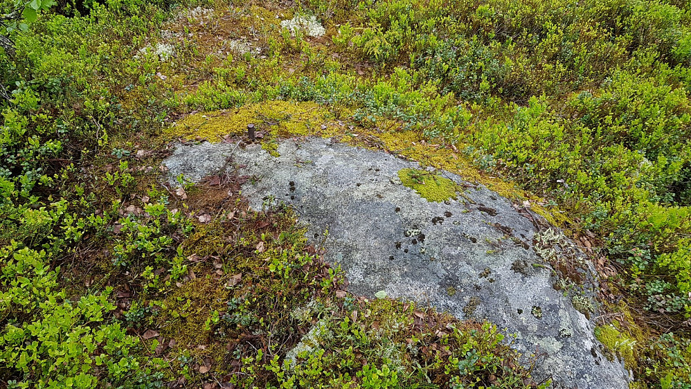 En bolt i steinen var den markeringen jeg fant på toppen av Fønsberget