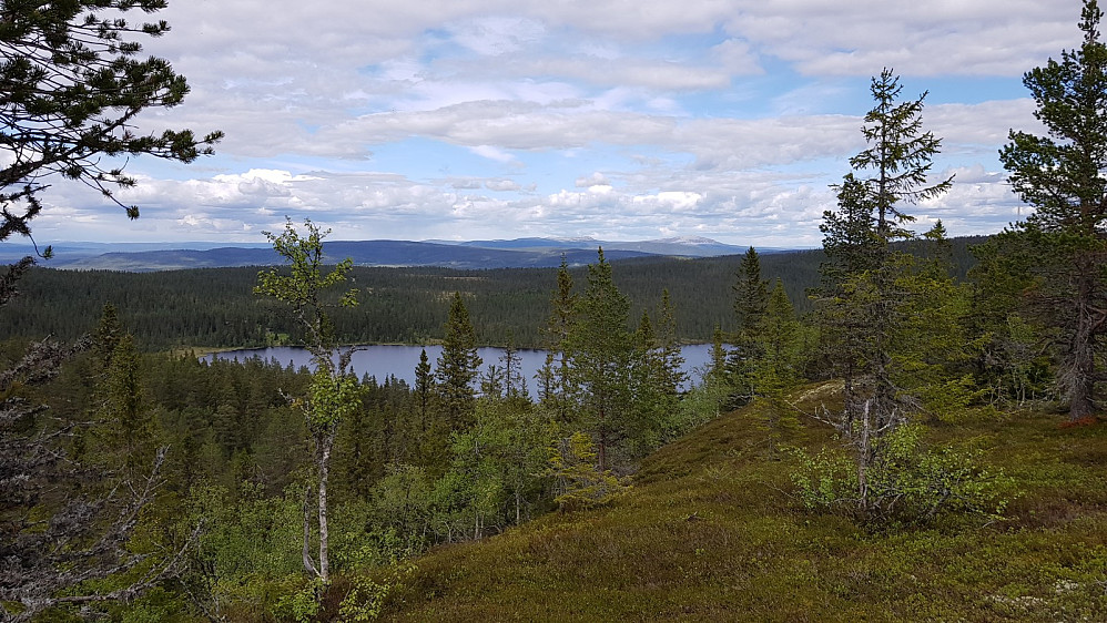 Utsikt mot Trysilfjellet