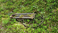 NJK500_20190615_5d050bd39a79a.jpg