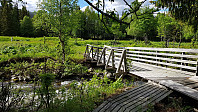 NJK500_20190615_5d050bd4ce810.jpg