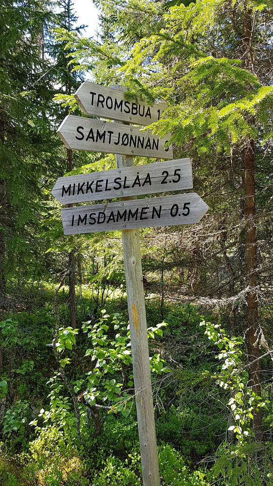 Litt lengre inn langs vannet, gikk det en gammel sti/kjerrevei opp i riktig retning
