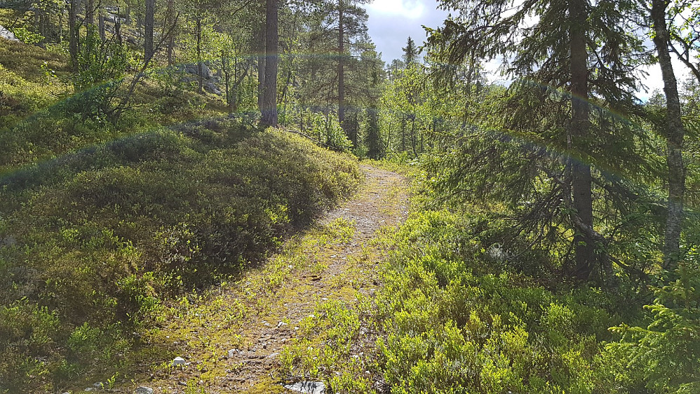 Herfra gikk turen videre på den flotteste kjerreveien oppover fjellsiden