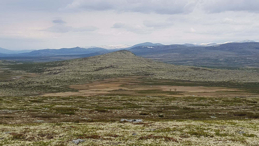 Fra Friisvegen og bort mot Brentfjellet