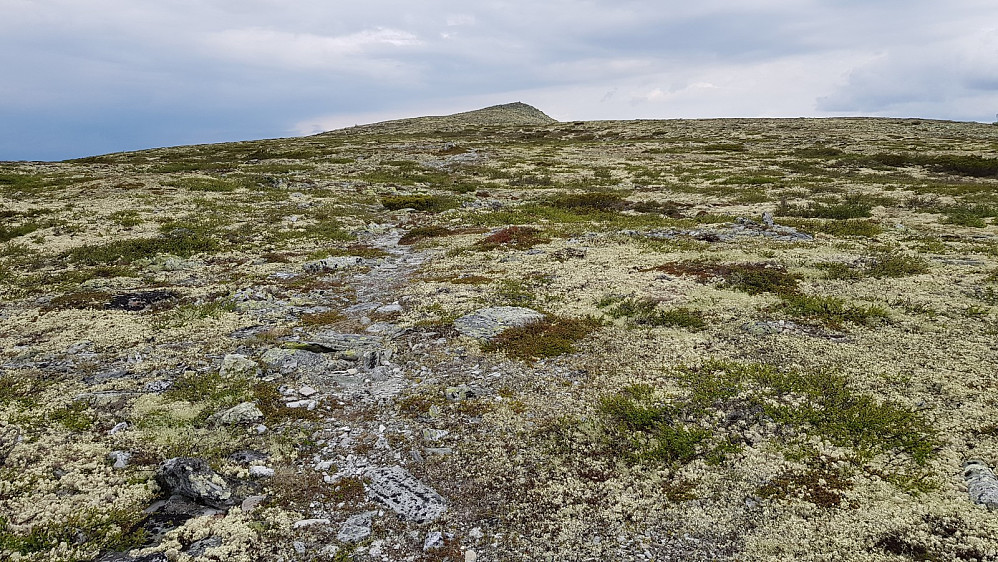 Jeg kunne følge fin sti helt opp på toppen