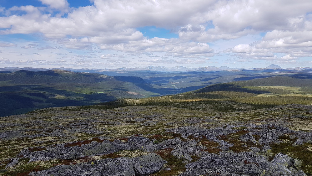 Utsikt oppover dalen og med Rondane i bakgrunnen