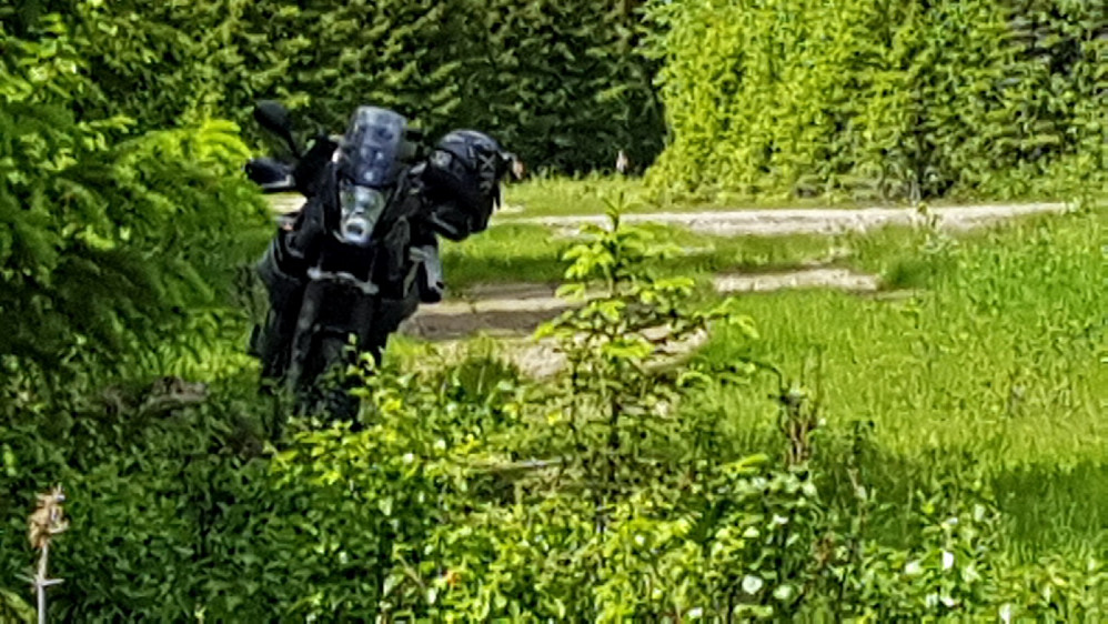 Når jeg kom ned til motorsykkelen igjen, stod det to Traner på veien. De ses rett til høyre for hjelmen på styret
