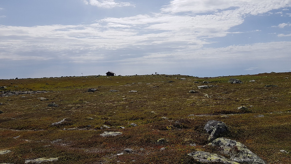 Toppen av Nevelfjell