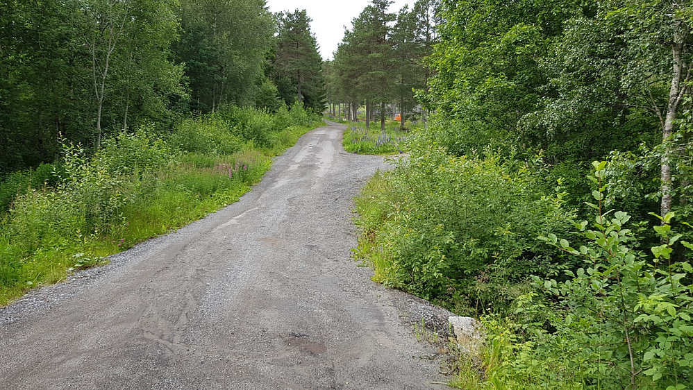 Flott grusvei hele veien opp til antenna. På tur ned igjen møtte jeg to ganger syklister på tur oppover