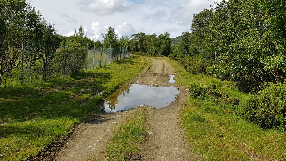 Jeg parkerte ved hovedveien og tok beina fatt innover denne noe dårlige veien