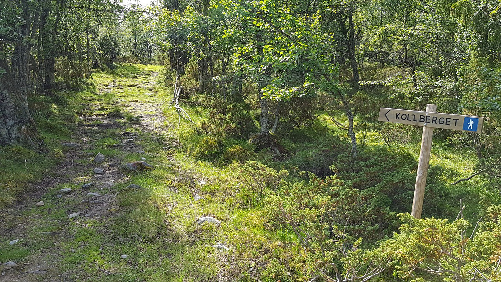 Ved enden av veien var det en skiltet sti som tok av innover skogen