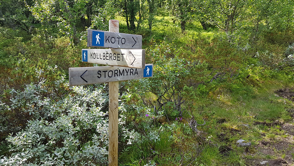 Litt inn i skogen kom jeg til et stikryss hvor det var skiltet mot Koto