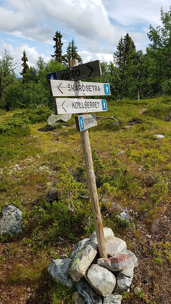 Det var flere stier og kryss innover her, men det var godt skiltet