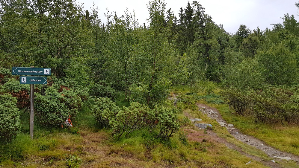 Skilt i stikryss i det jeg har passert vannet