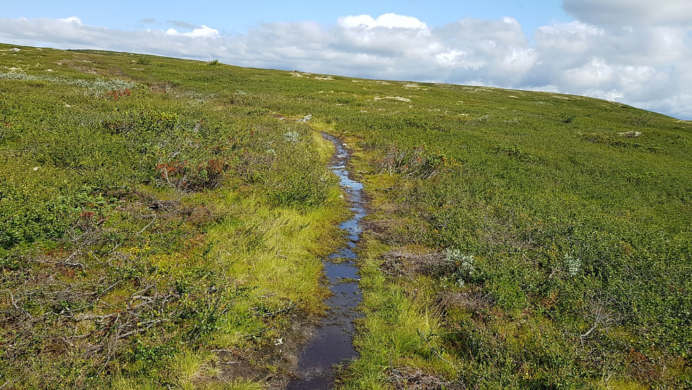 Riktignok var det veldig vått etter alt regnet i går, men jeg hadde Gortex sko, så det gikk greit