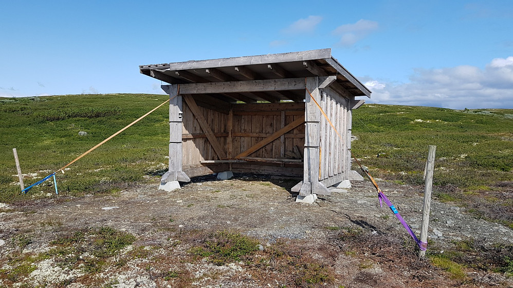 Noen hundre meter fra veien sto denne gapahuket bardunert med surrestropper 