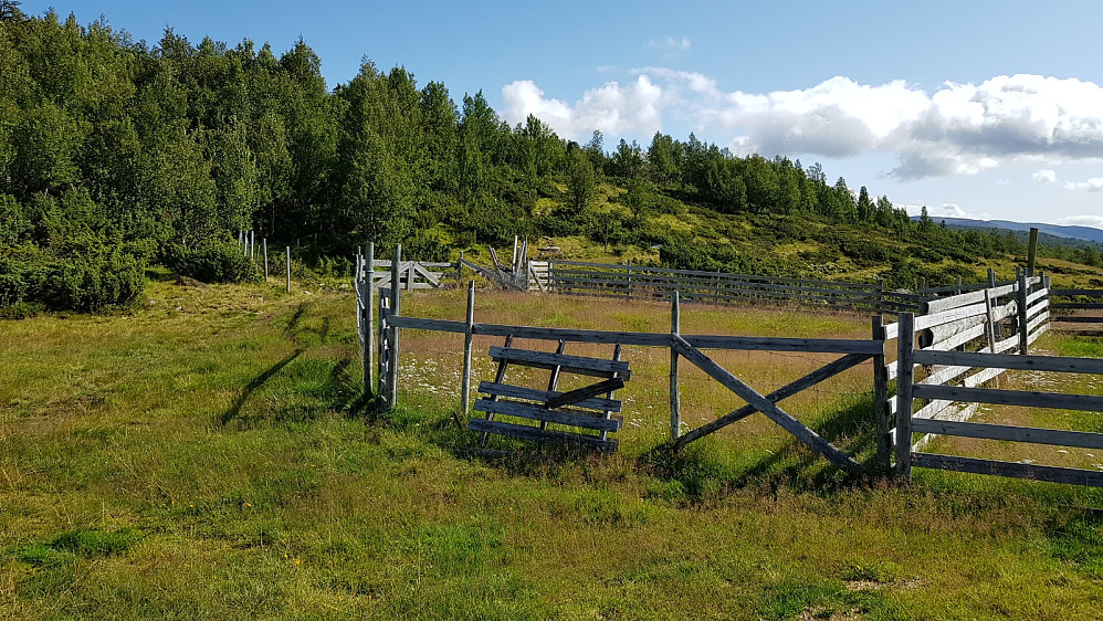 Vi parkerte rett før Åsdalsetra og gikk et par hundre meter bort til stistart
