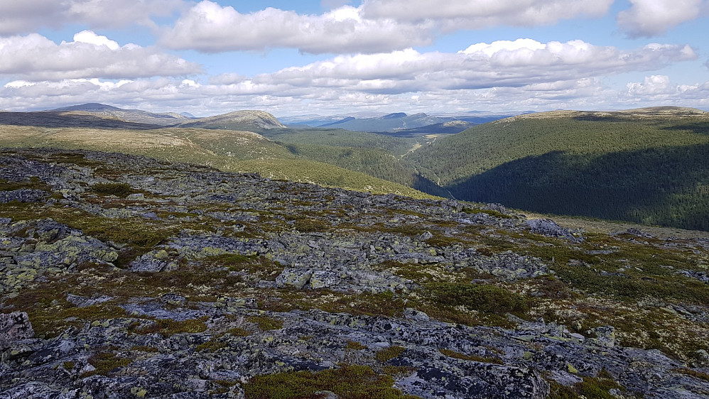 Utsikt bort mot Skjerdingfjellet