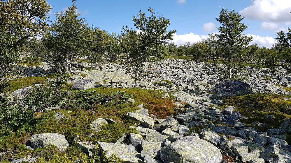 Høyere opp ble myrene erstattet med steinurer som også var tunge å gå