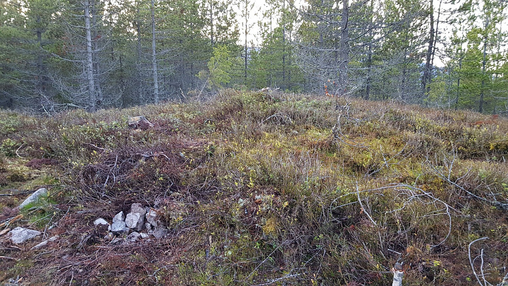 Toppen av Laudalsåsen er nok for de ivrigste av oss...