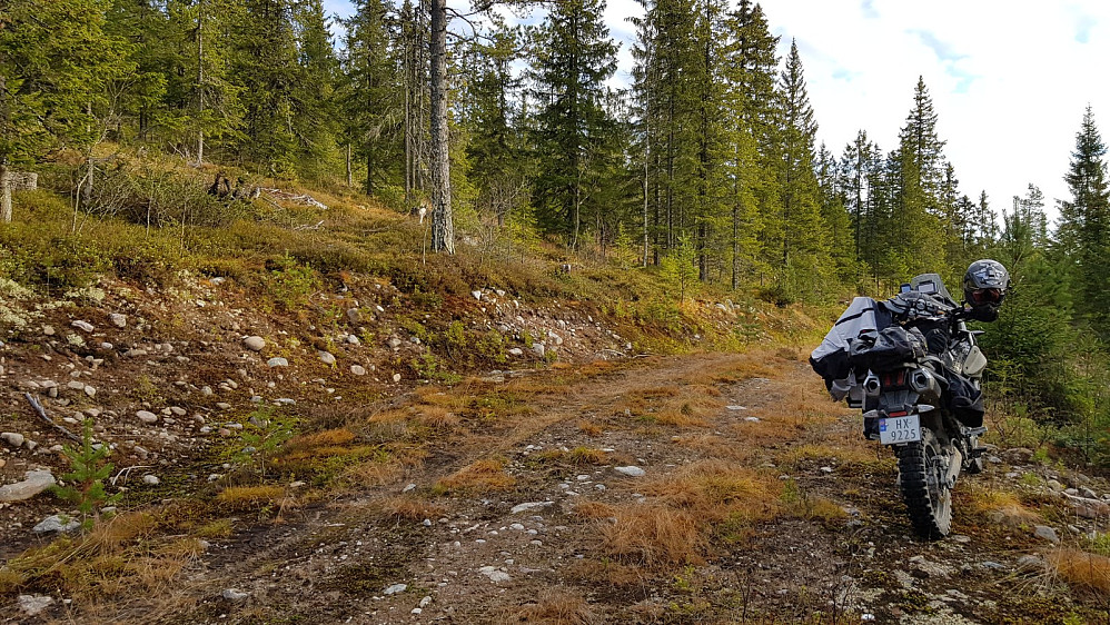 Dårlig vei inn til Bjørnåsen, men det var bare artig