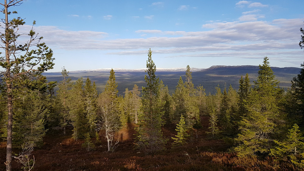 Flott utsyn nordover