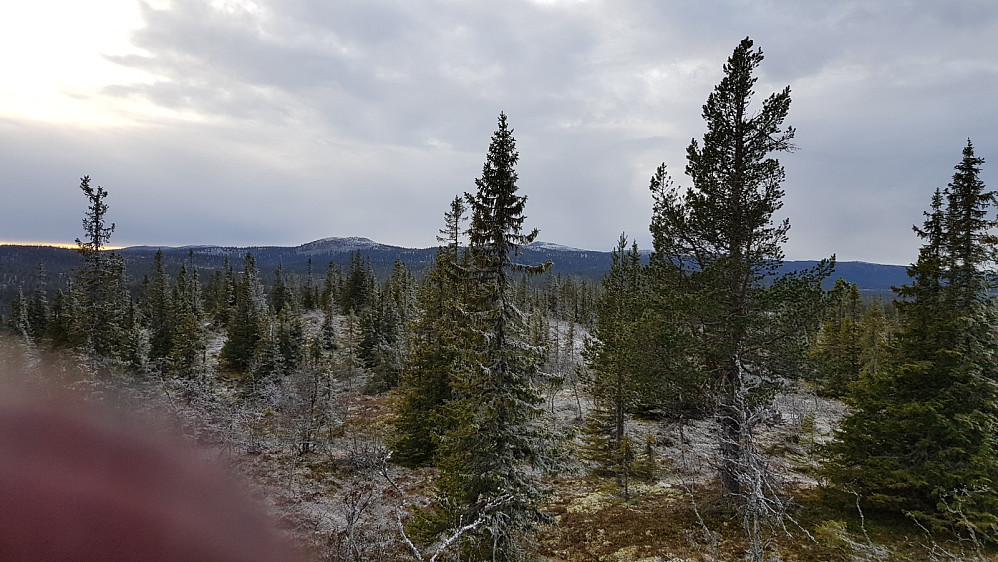 Utsikt mot Byringene