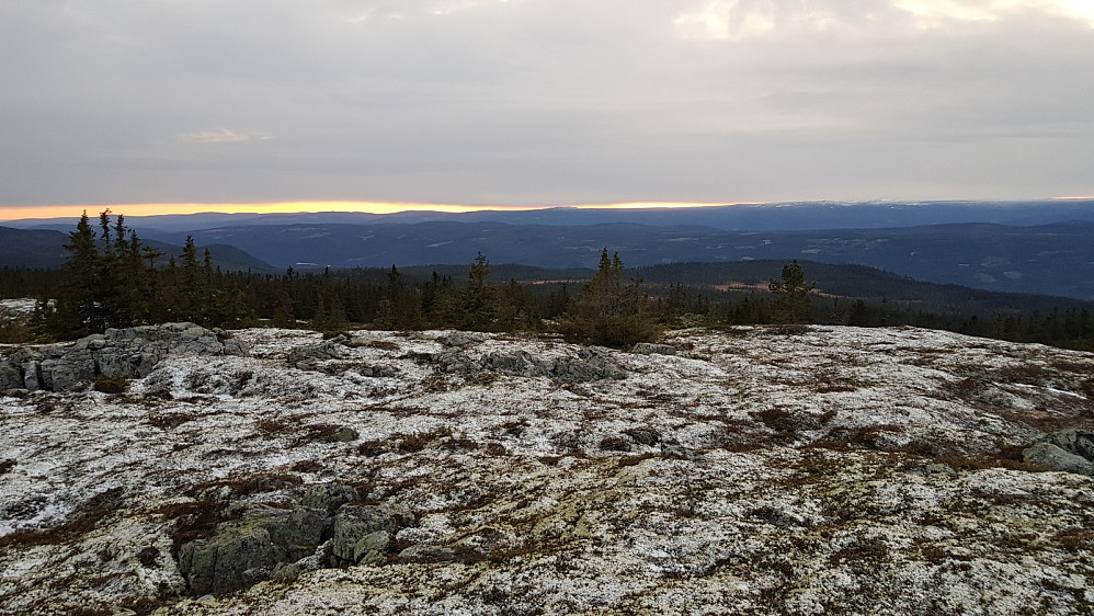 Sola stod svært lavt når jeg kom opp av skogen