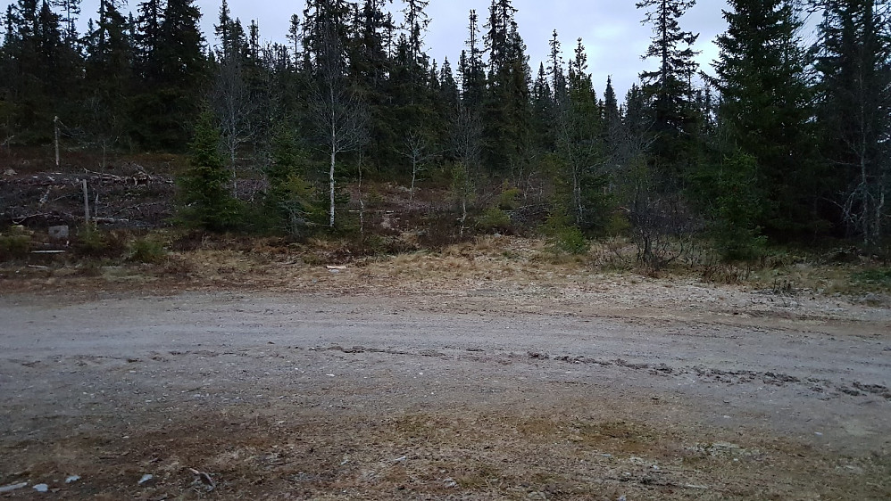 Inn her gikk stien jeg kom tilbake på, og som jeg skulle ha gått opp på. Ikke alltid lett å finne frem på nye steder...