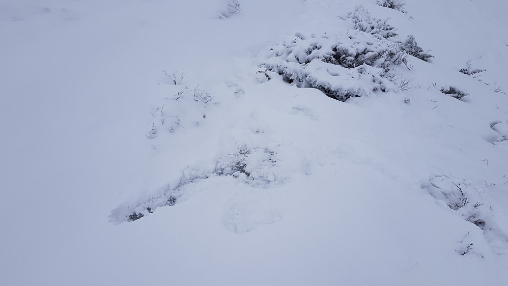 Nysnøen skjulte de isete partiene på stien og det var slitsomt å gå. Til tross for at jeg var forsiktig, ble det et par fall