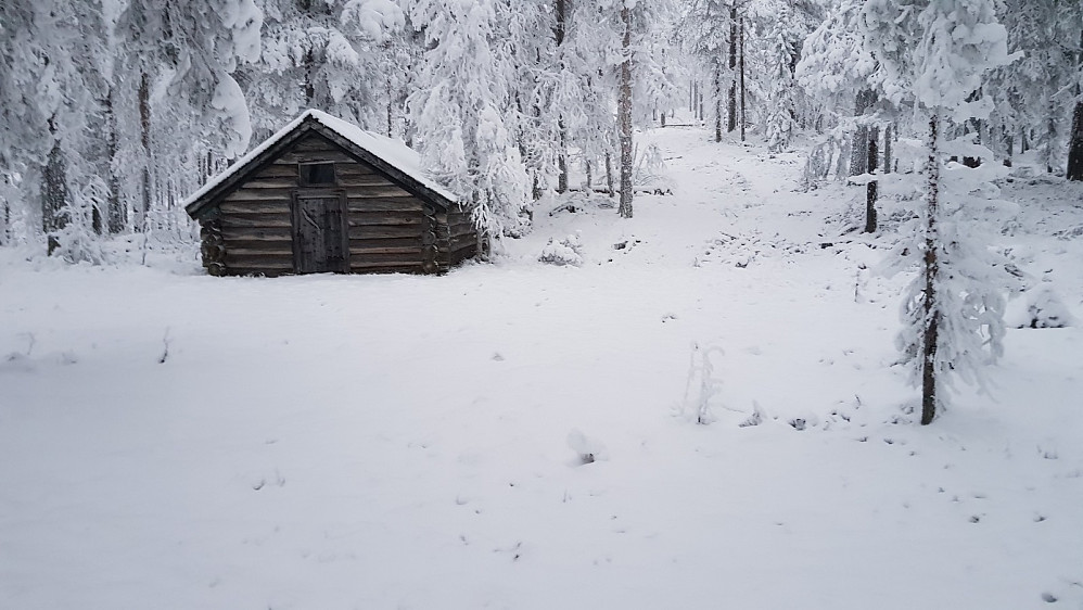 Litt opp i lia stod det en gammel tømmerkoie hvor det bare var et hull i taket etter pipa som en gang var der