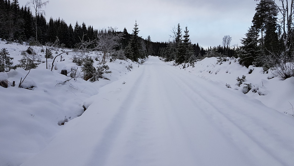 Hovedveien inn dalen var kjørt med både snøscooter og en beltegående maskin før siste snøfall
