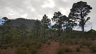 Jeg gikk stien til høyre mot der fjellet reiste seg opp i skogen