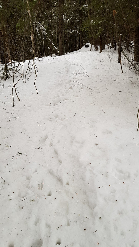 Tungt å gå bratt i kram snø
