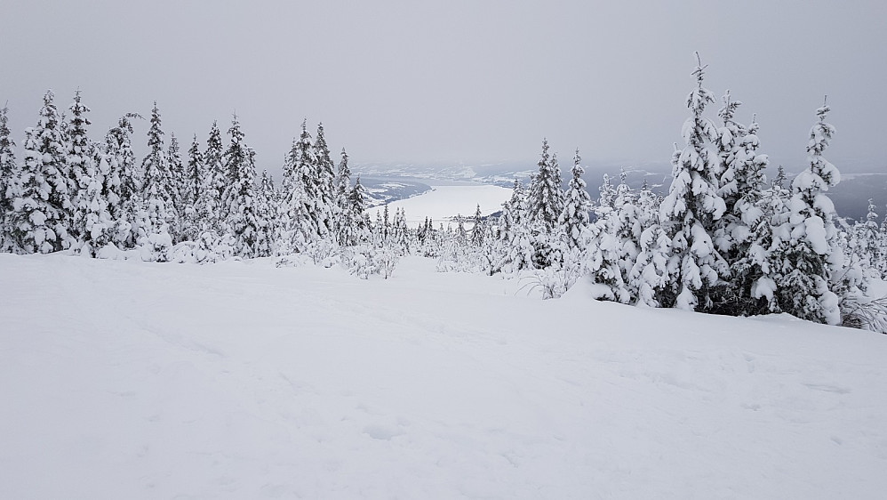 Fra toppen og mot Mjøsa