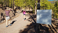 Turstart i flott skog