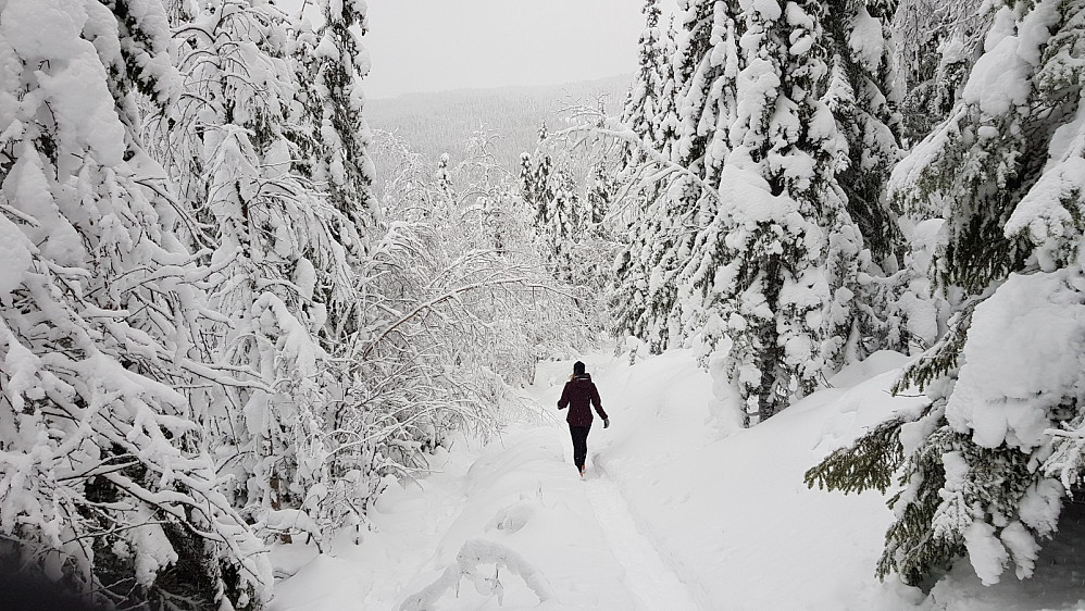 Skikkelig jul i skogen i dag
