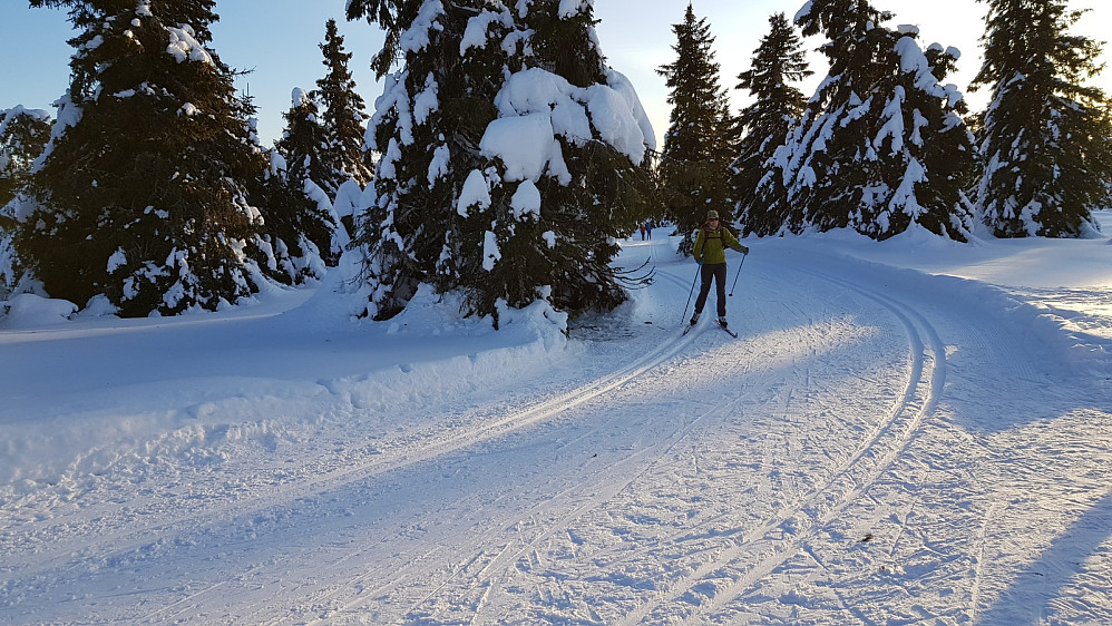 Vi gikk sammen i løypa opp dit det går av spor opp mot fjellet