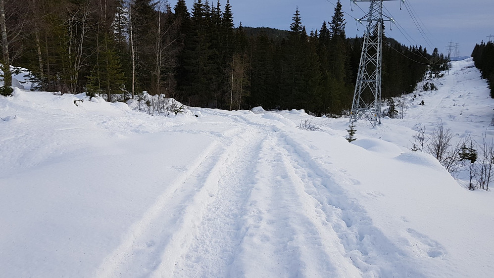 Nede ved kraftlinja på returen krysset jeg trugesporet til NTK