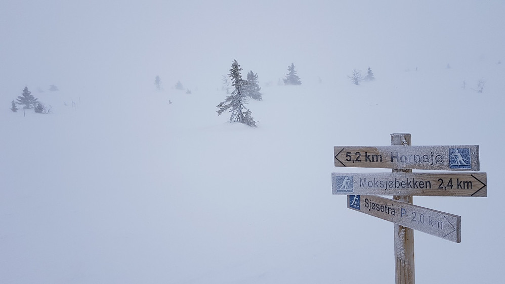 Etter å rotet med retningen klarte jeg å gå meg inn igjen på løypa litt høyere opp. Brillene mine iset igjen og jeg angret på at jeg ikke hadde tatt med skikkelige snøbriller