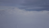 NJK500_20200126_5e2dc7167336d.jpg