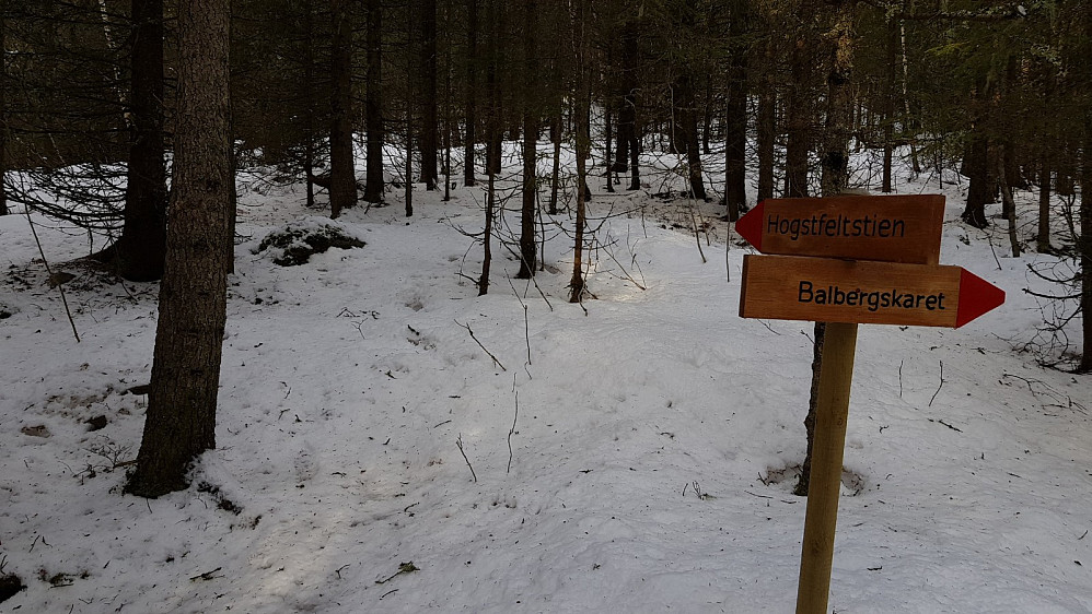 Tyngre å gå her da ingen hadde gått stien siden forrige snøfall