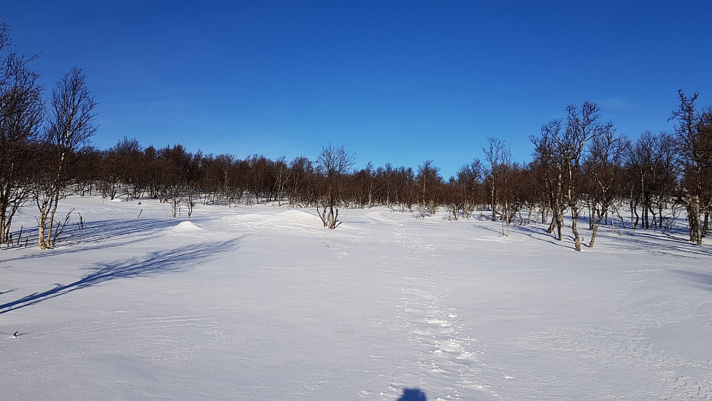Ovenfor sætra var det slutt på preparert løype
