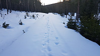 Da var det å brøyte spor i 15 cm løssnø, så det gikk ikke fort