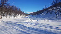 Jeg ble litt ivrig og valgte å krysse Blankgrytdalen litt for tidlig