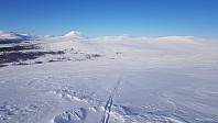 Oppe på fjellet ble den dype løssnøen i skogen erstattet av det flotteste føret, med tør fast snø som ga perfekt feste uten bruk av feller