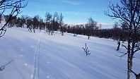 Jeg gikk i skogkanten et stykke for å holde meg på fastere snø