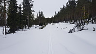 Nede i dalen igjen ventet det en kjedelig siste etappe opp veien tilbake til bilen