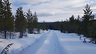 Litt demotiverende å starte i nedoverbakke. Heldigvis var det brøytet her tidligere i vinter, så jeg sank ikke ned, men det ble ikke noe fart på skiene