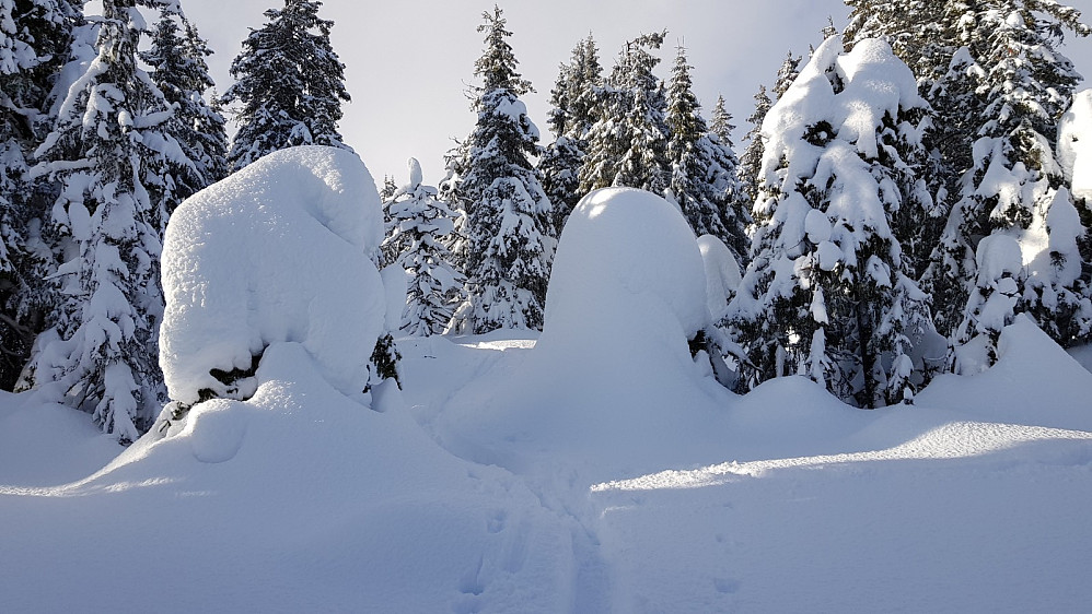 Rene eventyrstemningen i skogen i dag, og her går man i sin egen virkelighet, mens det er fullt opp av folk i løypa noen hundre meter unna