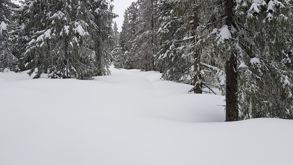 Nysnøen lå som et tykt teppe over terrenget